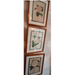 lot 3 gravures encadrées...
