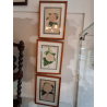 lot 3 gravures encadrées camélia