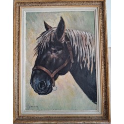 HSP représentant un Cheval