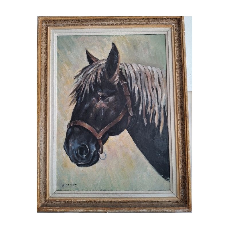 HSP représentant un Cheval