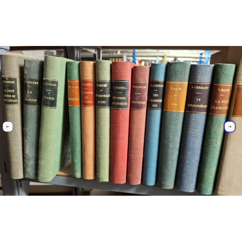 Lot de 47 livres reliés