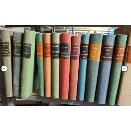 Lot de 47 livres reliés